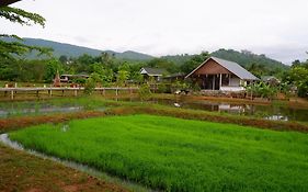 นอกชานมีนา